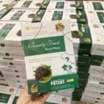 Beauty Fruit Detox Plum - Image 8