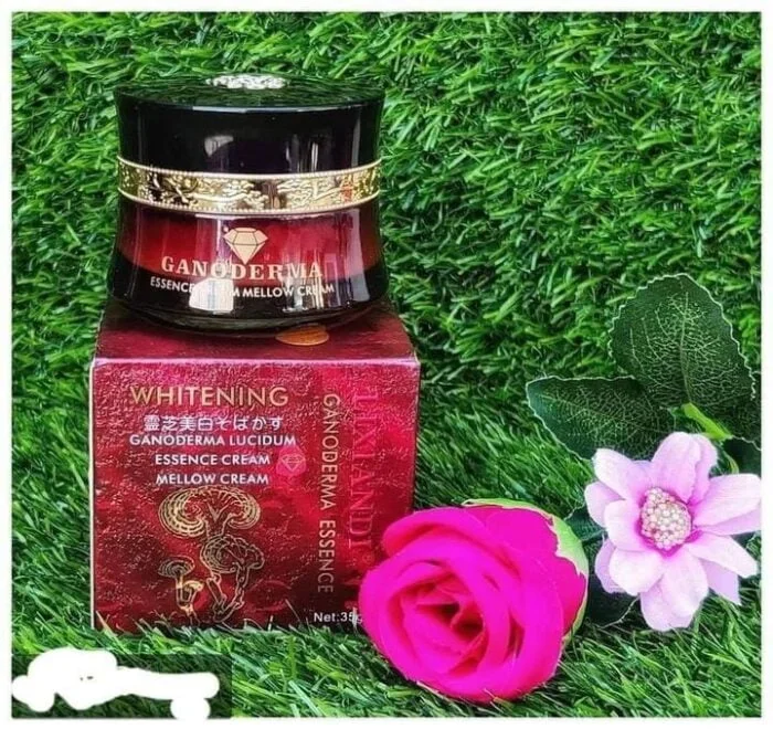 Ganoderma Lucidum Essence Cream