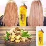 Protector Ginger Shampoo