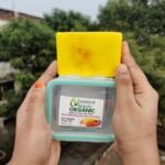Saffron Goat Milk Soap