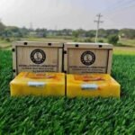 Golden Madina Tulip - Saffron Goat Milk Soap Bar