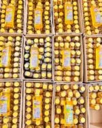 VSC Turmeric Super Whitening Oil